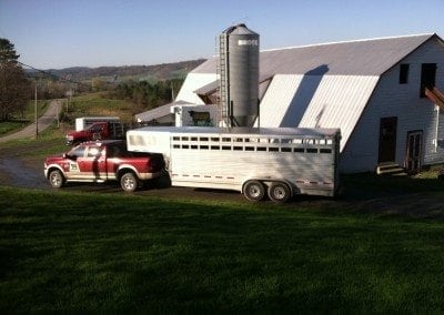 The truck and stock trailer at the barn
